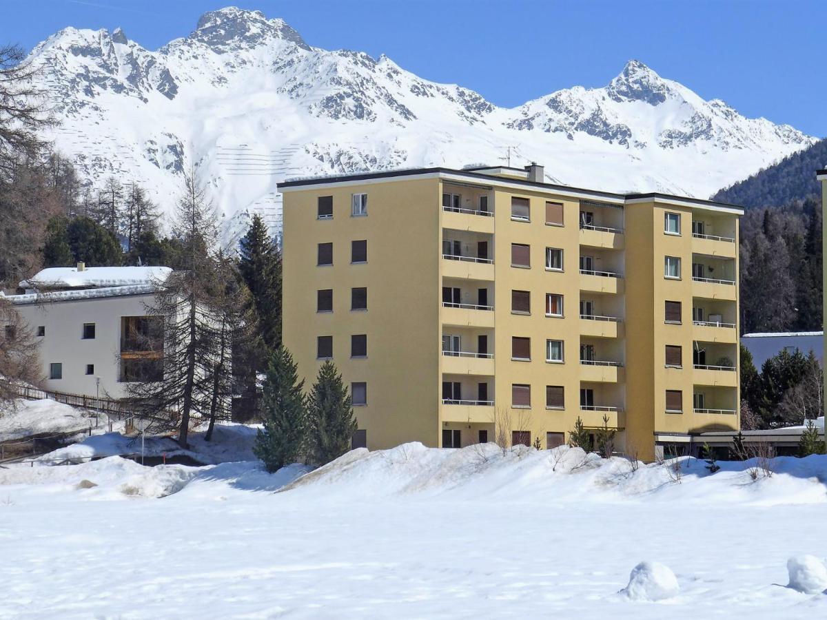 Apartment Chesa Daniela B - Anita By Interhome Sankt Moritz Eksteriør bilde